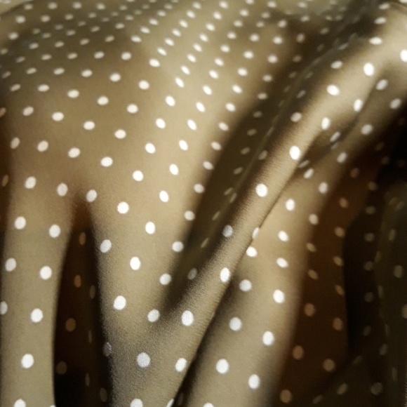 Tan Polka Dot Short Sleeve Button Front Dress 16 - Picture 6 of 6